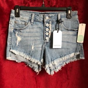 Gracelyn Distressed Denim Shorts 